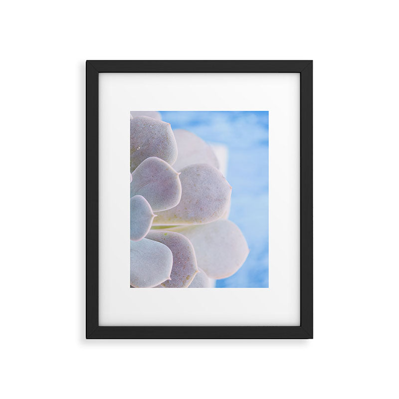 Echeveria Framed Art Print Gallery Image 5