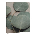 Eucalyptus x botanical leaf photograph green houseplant Canvas Print Gallery Image 6