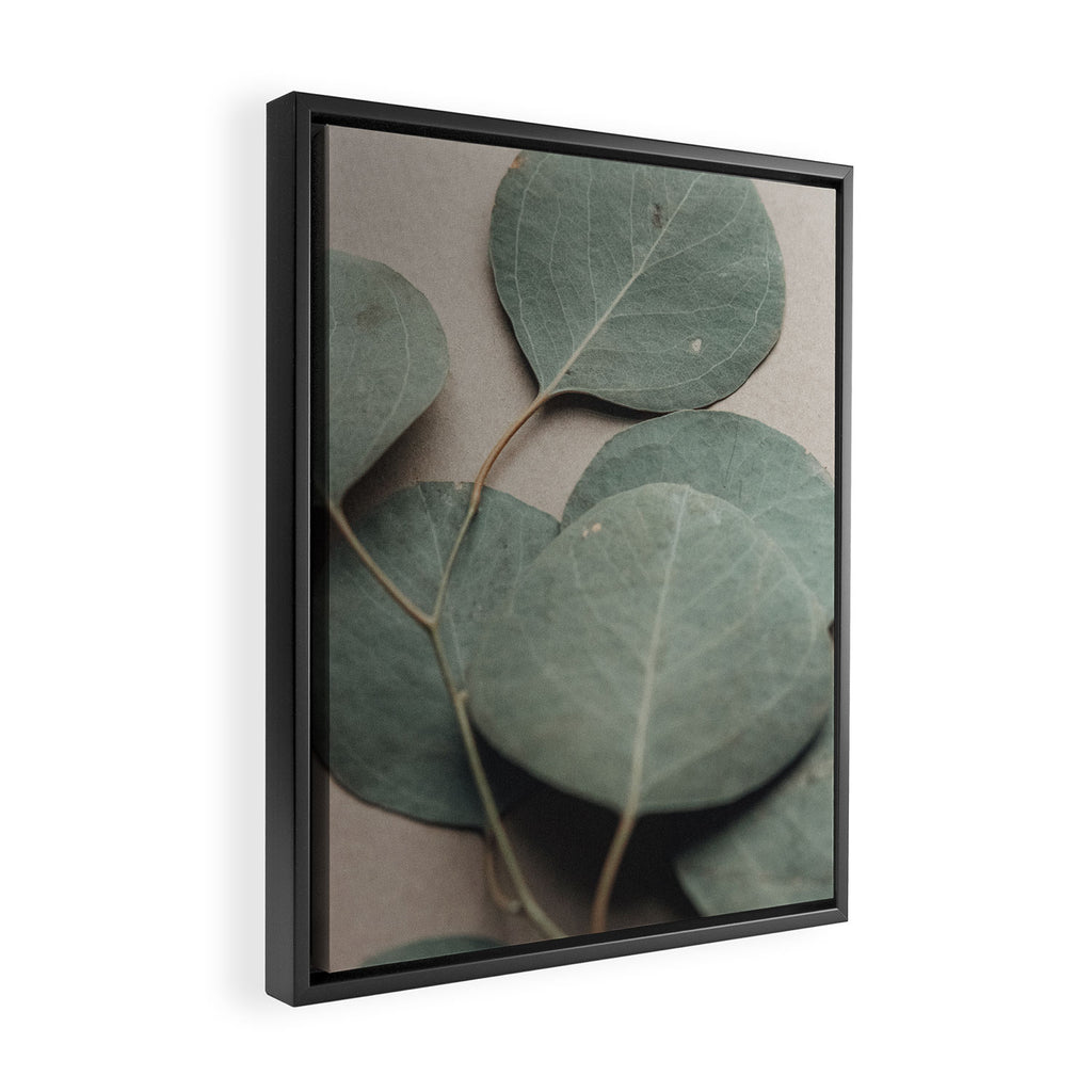 Eucalyptus x botanical leaf photograph green houseplant Framed Canvas Print Gallery Image 2