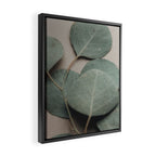 Eucalyptus x botanical leaf photograph green houseplant Framed Canvas Print Gallery Image 2