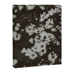 Evening Daisies x flower photograph black and white botanical Canvas Print Gallery Image 6
