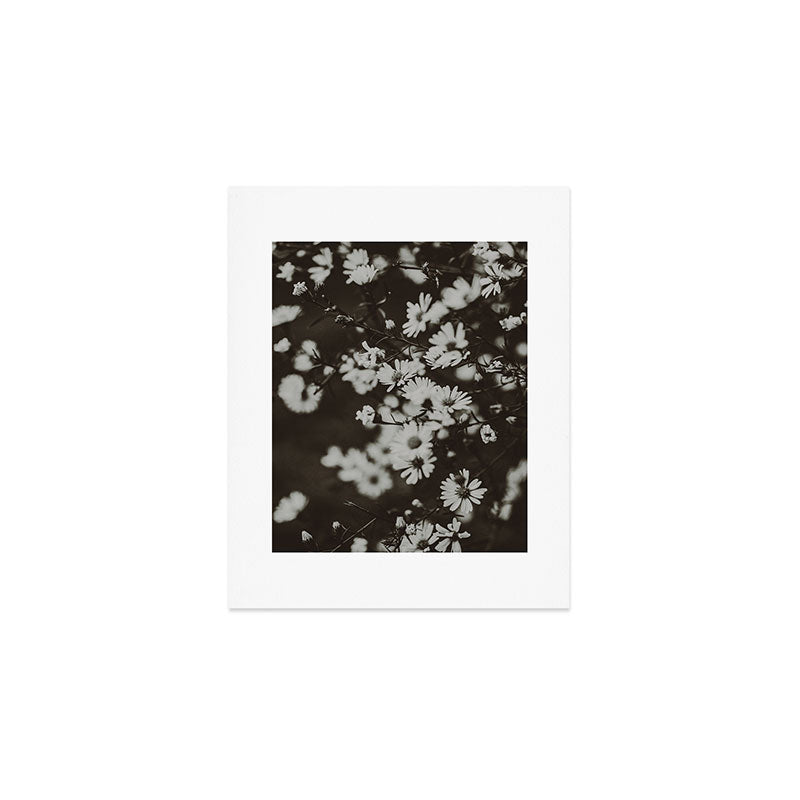 Evening Daisies x flower photograph black and white botanical Art Print Gallery Image 1