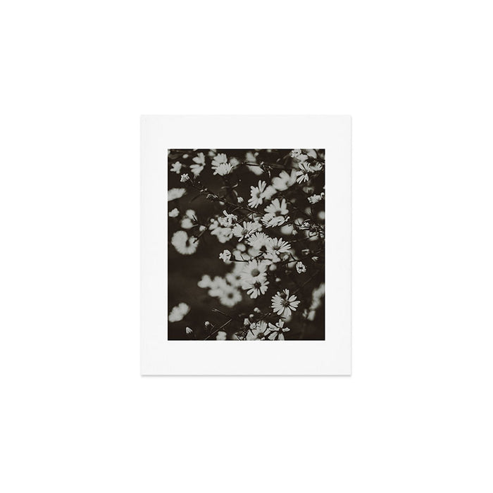 Evening Daisies x flower photograph black and white botanical Art Print Gallery Image 1