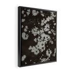 Evening Daisies x flower photograph black and white botanical Framed Canvas Print Gallery Image 2