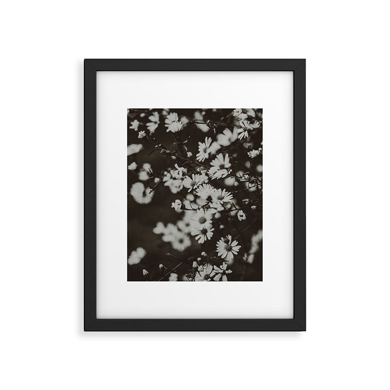 Evening Daisies x flower photograph black and white botanical Framed Art Print Gallery Image 5