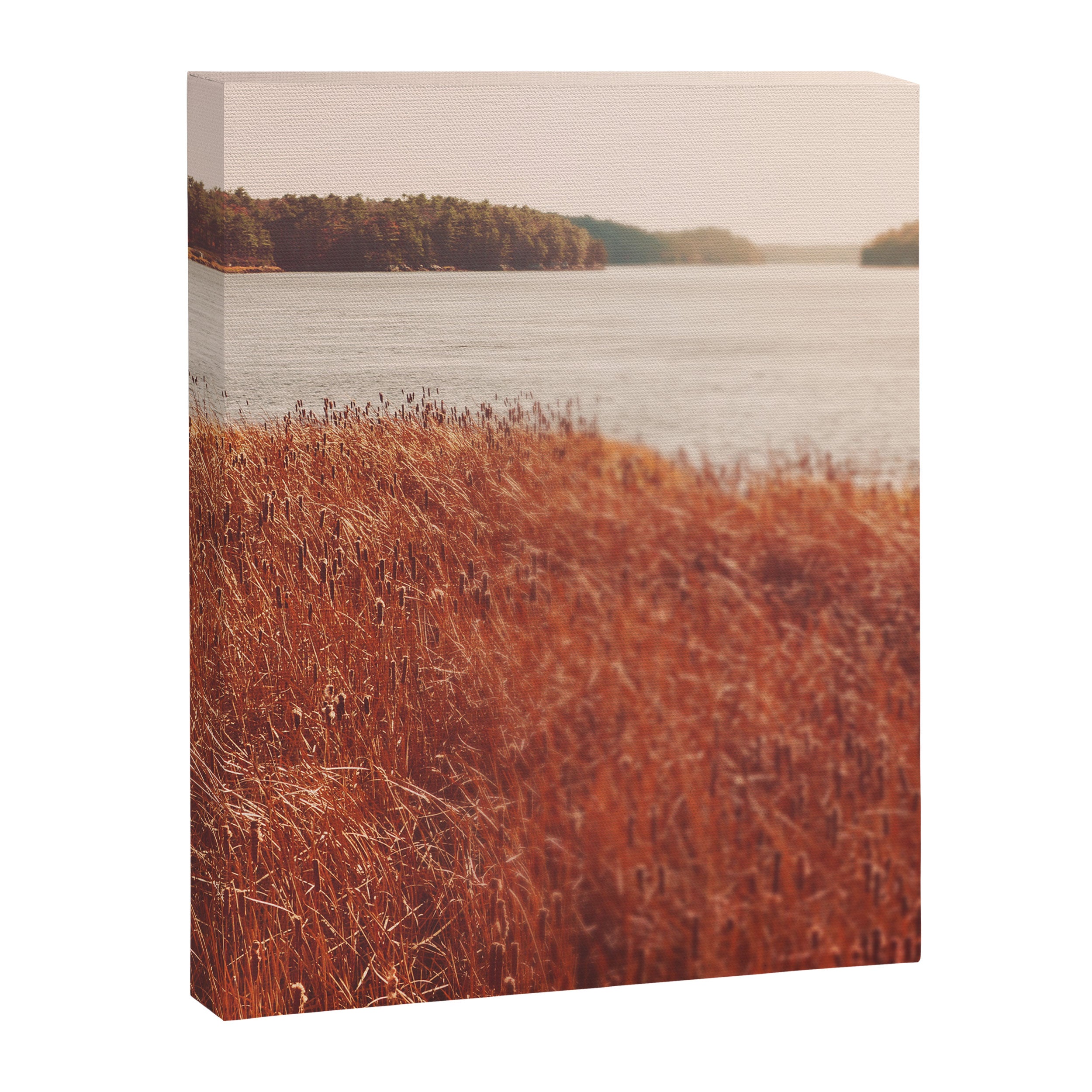 Exploring Along the Kennebec Canvas Print Gallery Image 6