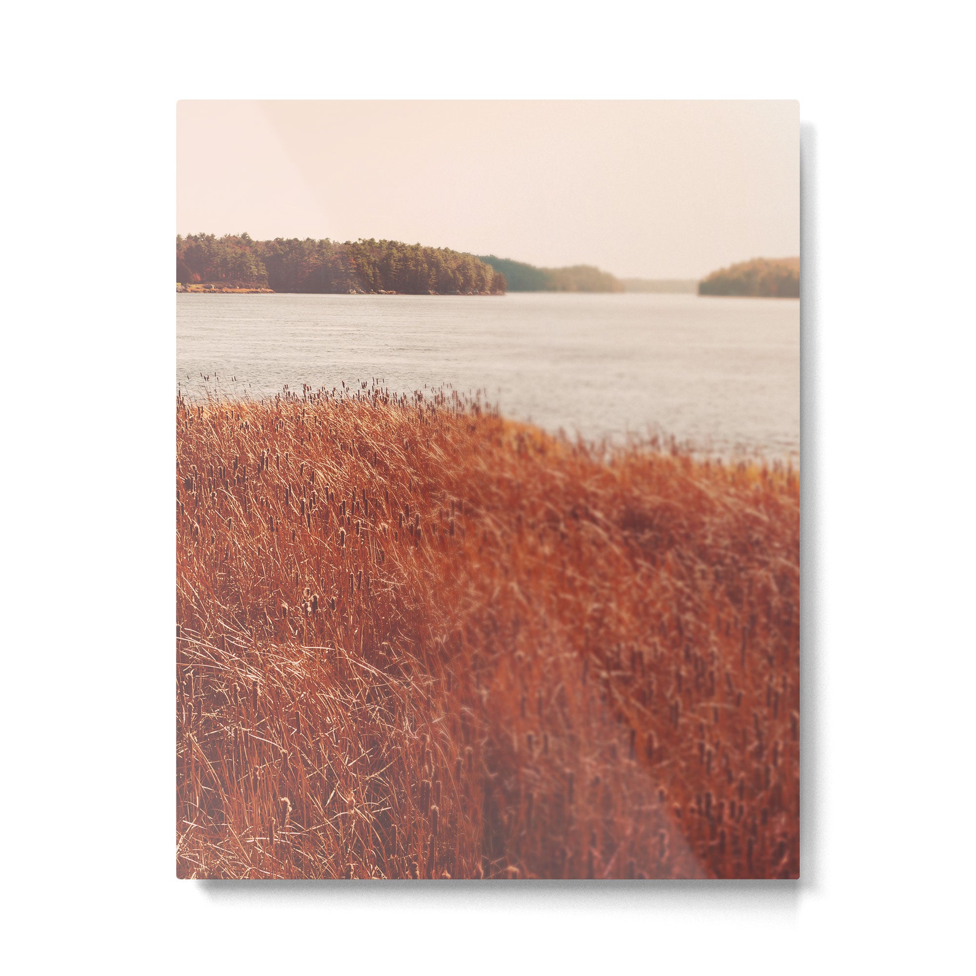 Exploring Along the Kennebec Metal Print Gallery Image 4