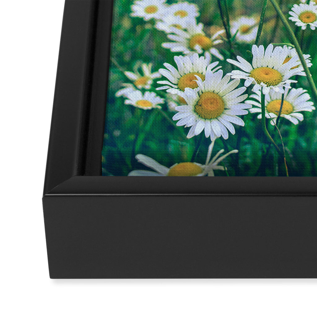 Exuberant Framed Canvas Print Gallery Image 3