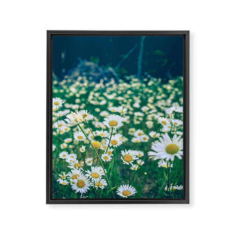 Exuberant Framed Canvas Print Gallery Image 6