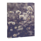fading autumn - nature wildflower photograph Canvas Print Gallery Image 6
