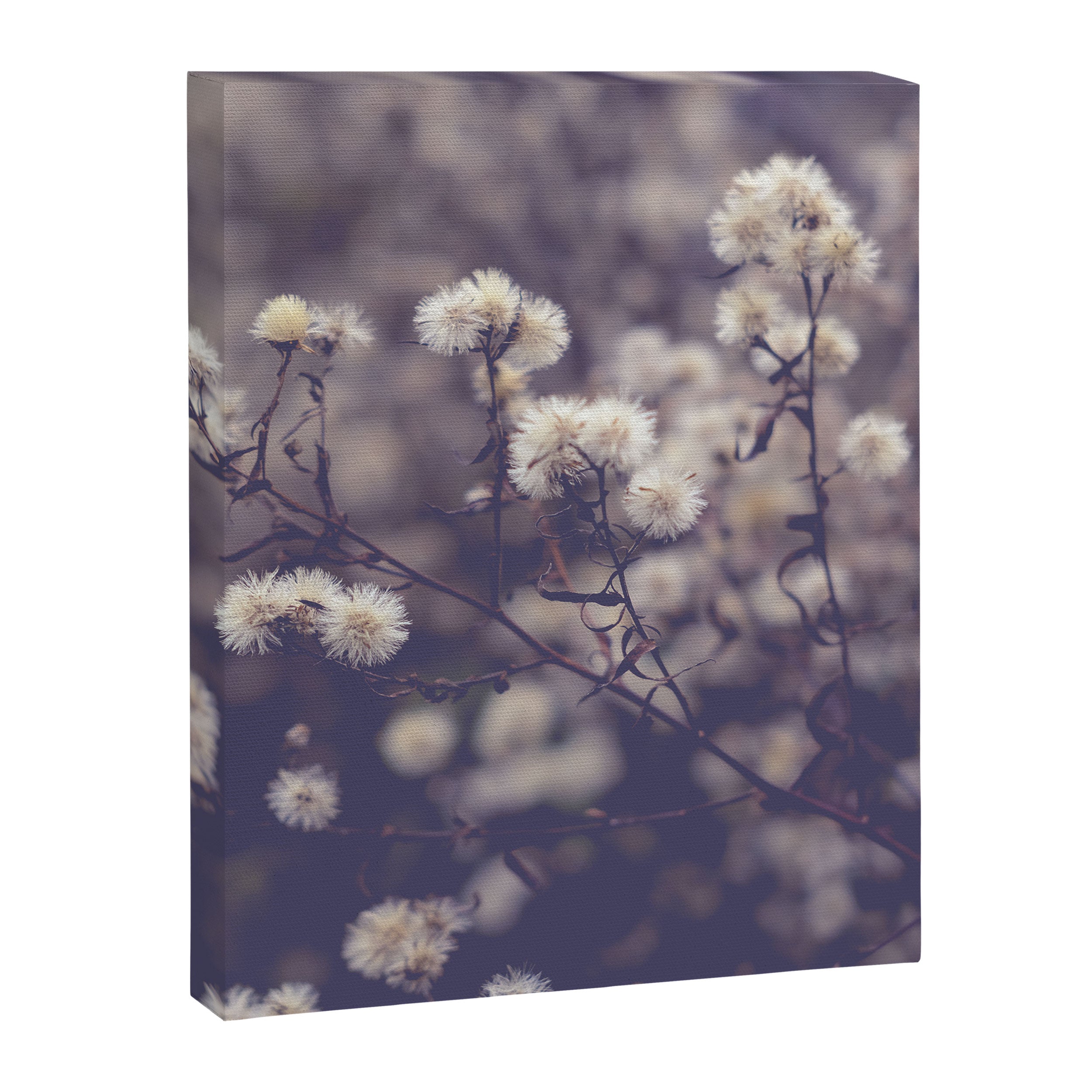 fading autumn - nature wildflower photograph Canvas Print Gallery Image 6
