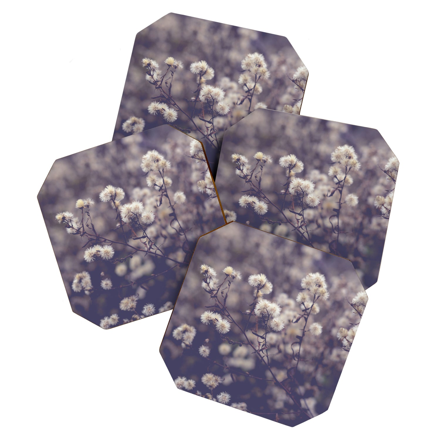 fading autumn - nature wildflower photograph Coaster Gallery Image 1