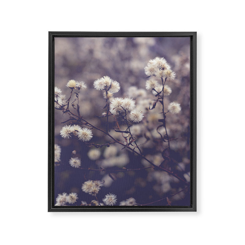 fading autumn - nature wildflower photograph Framed Canvas Print Gallery Image 6