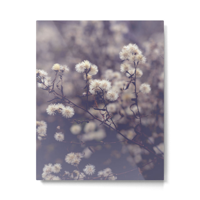 fading autumn - nature wildflower photograph Metal Print Gallery Image 1