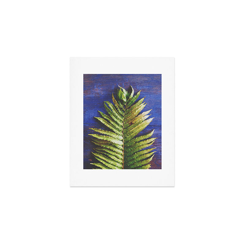 Fern Art Print Gallery Image 1