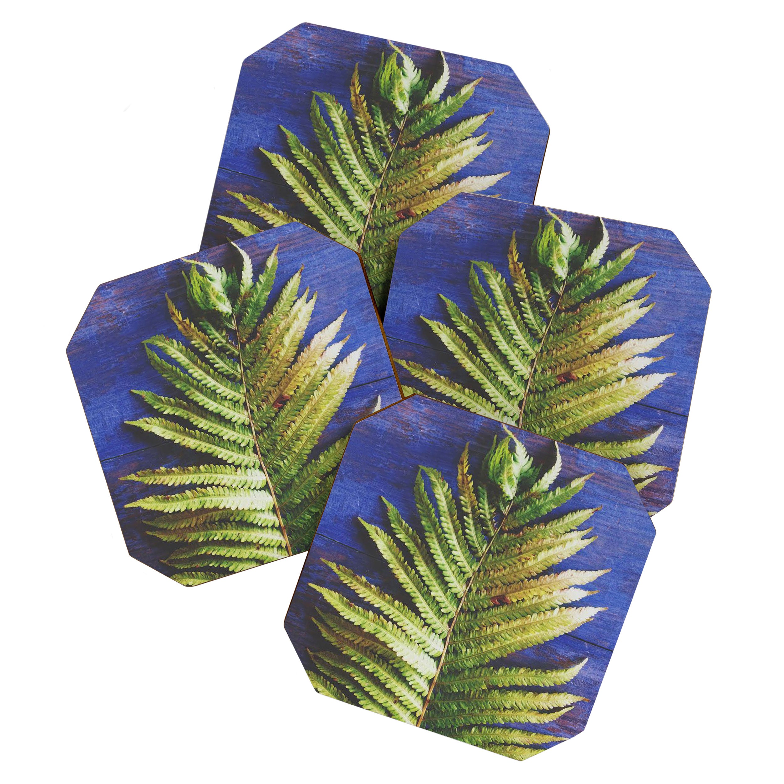 Fern Coaster Gallery Image 1