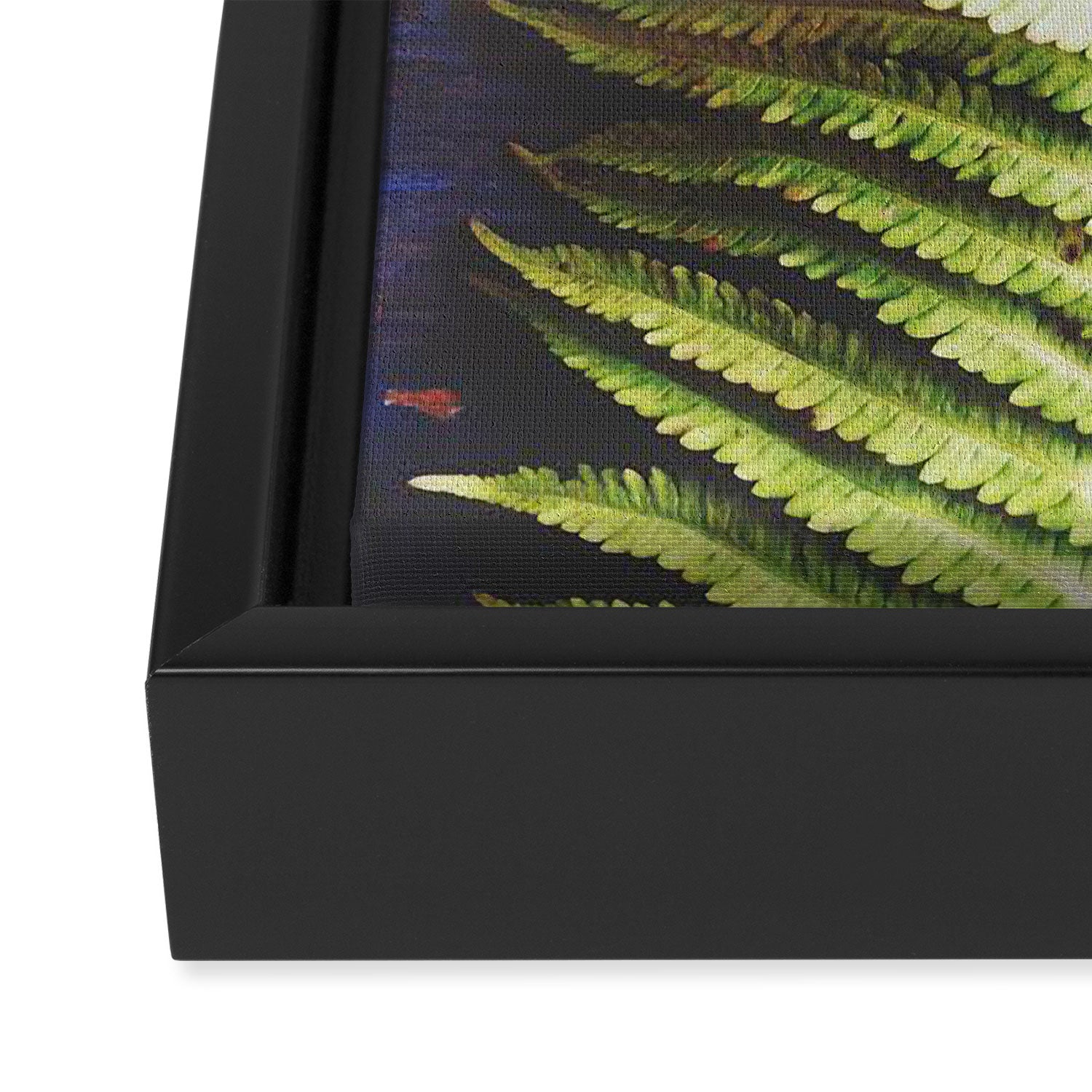 Fern Framed Canvas Print Gallery Image 3