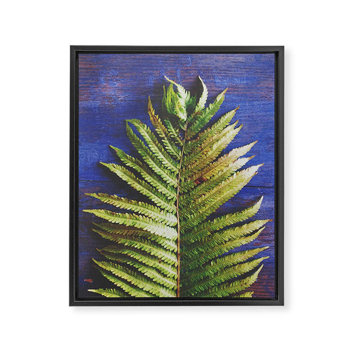 Fern Framed Canvas Print Gallery Image 1