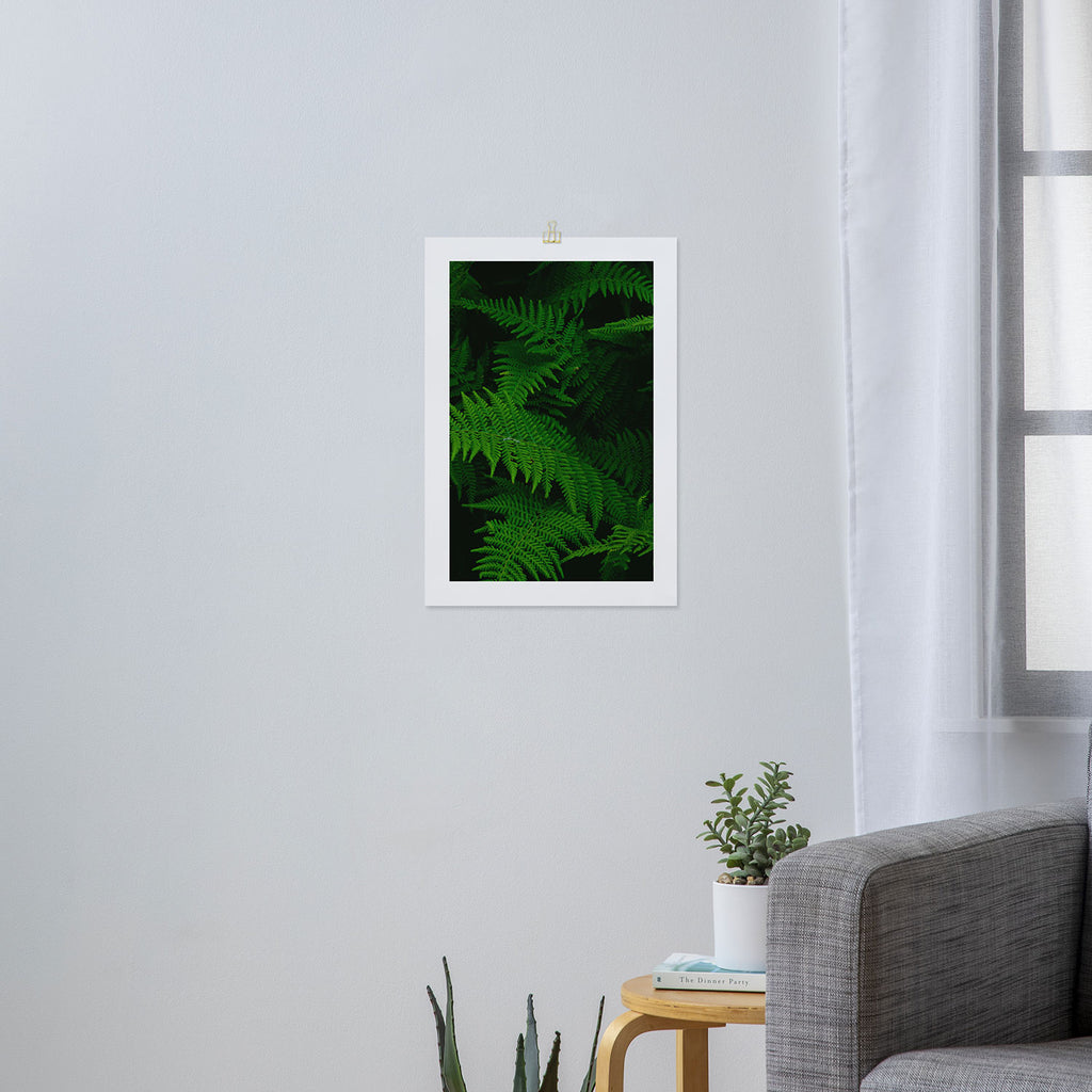 Fern Art Print Gallery Image 3