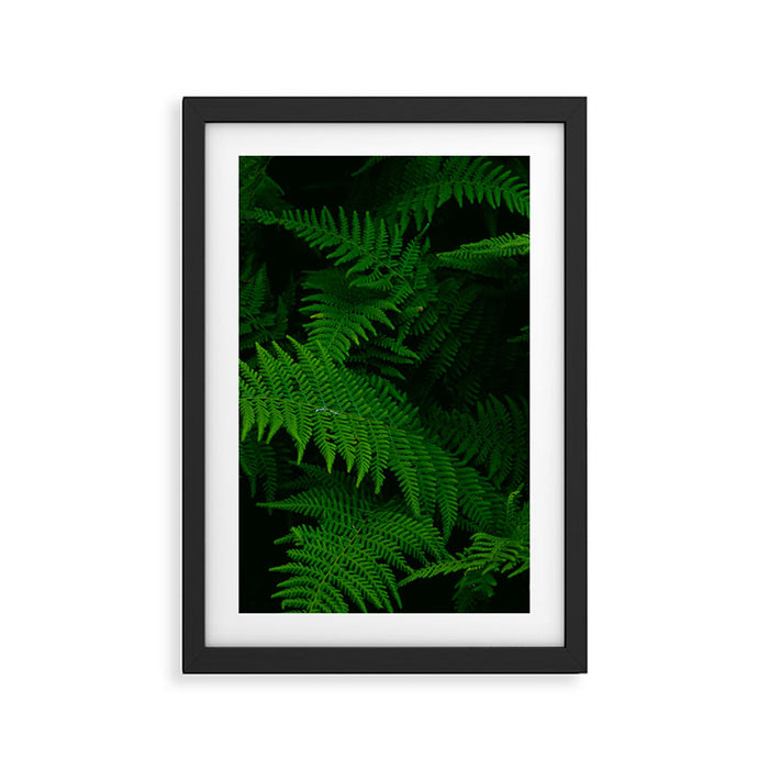 Fern Framed Art Print Gallery Image 1