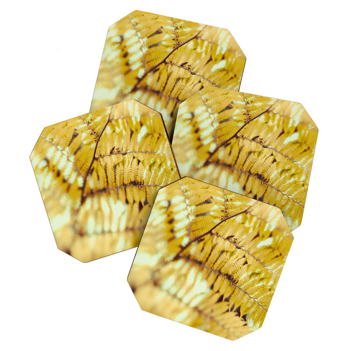 Fern Coaster Gallery Image 1