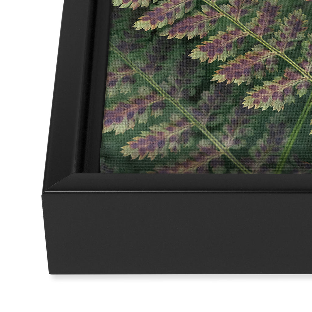 fern - nature photography foliage plant Framed Canvas Print Gallery Image 3