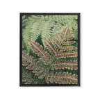 fern - nature photography foliage plant Framed Canvas Print Gallery Image 6