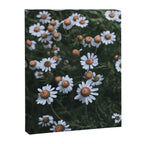 Fertile Ground Canvas Print Gallery Image 6