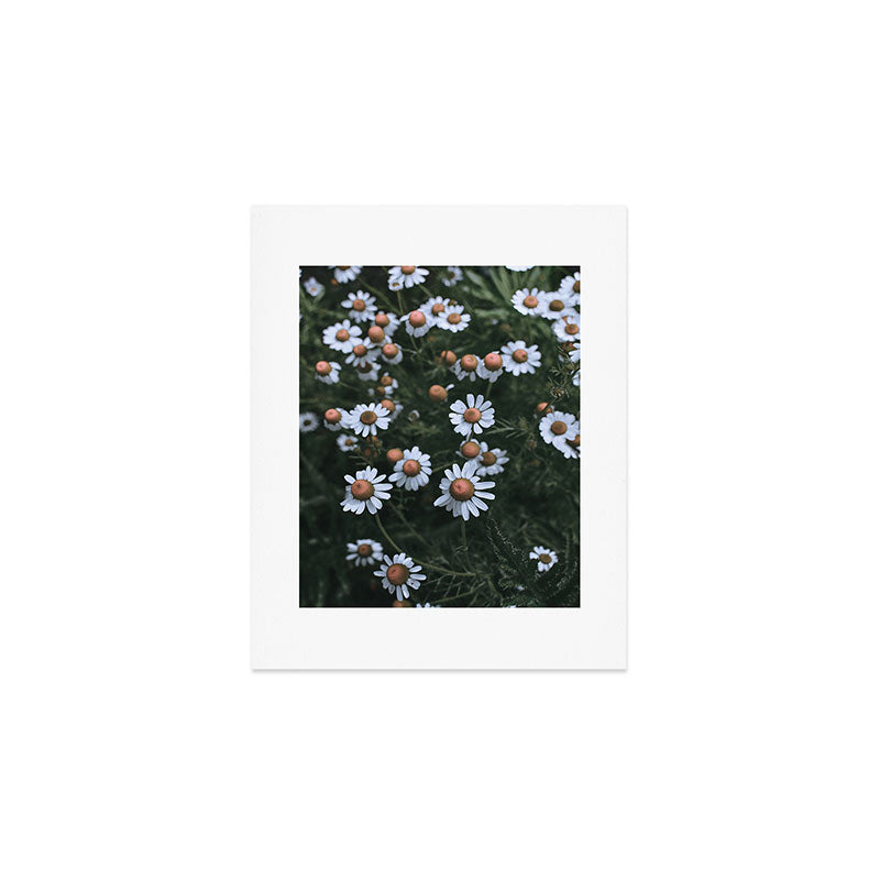 Fertile Ground Art Print Gallery Image 1