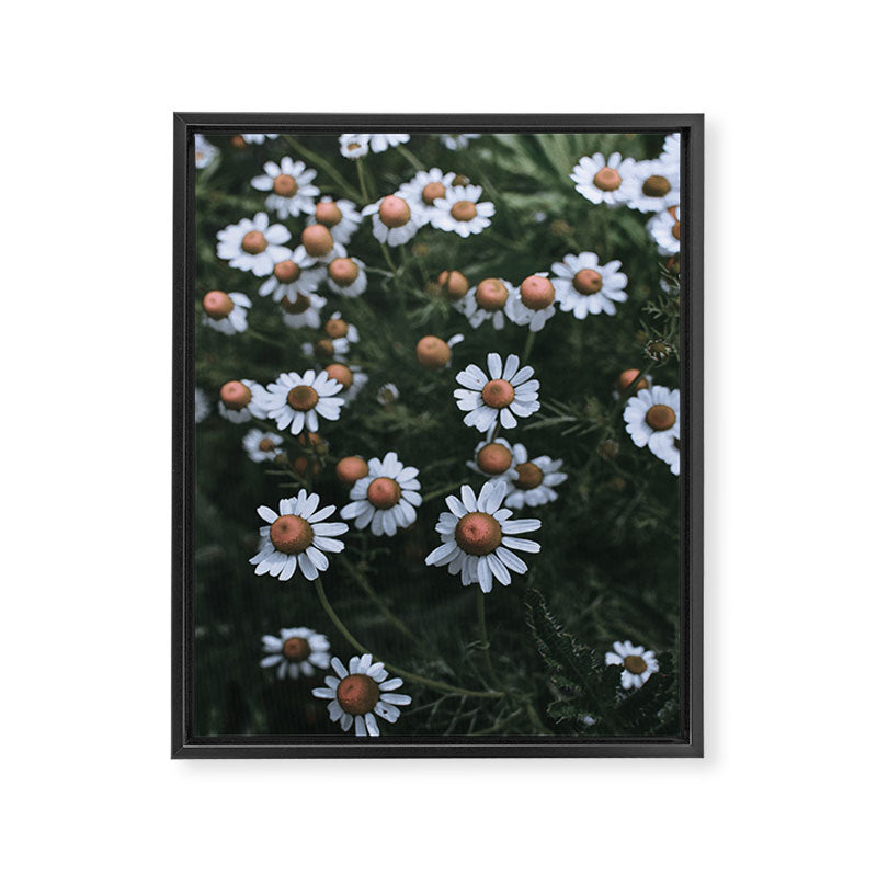 Fertile Ground Framed Canvas Print Gallery Image 6