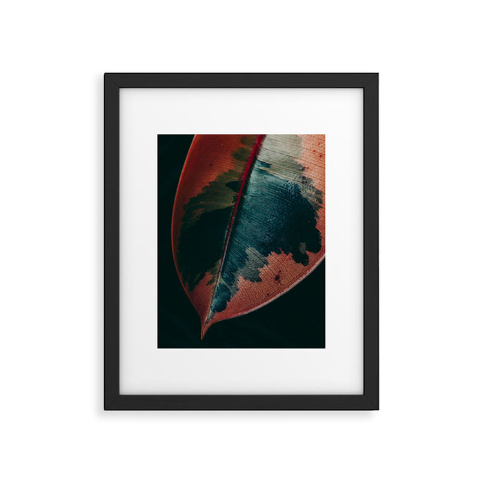 Ficus Leaf Study Framed Art Print Gallery Image 1