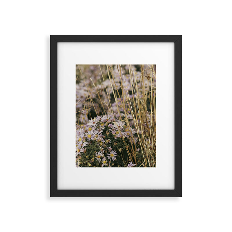 field of aster wildflowers - botanical nature photograph Framed Art Print Gallery Image 5