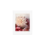 Find Your Tribe #1 - Modern Botanical Photograph Art Print Gallery Image 1
