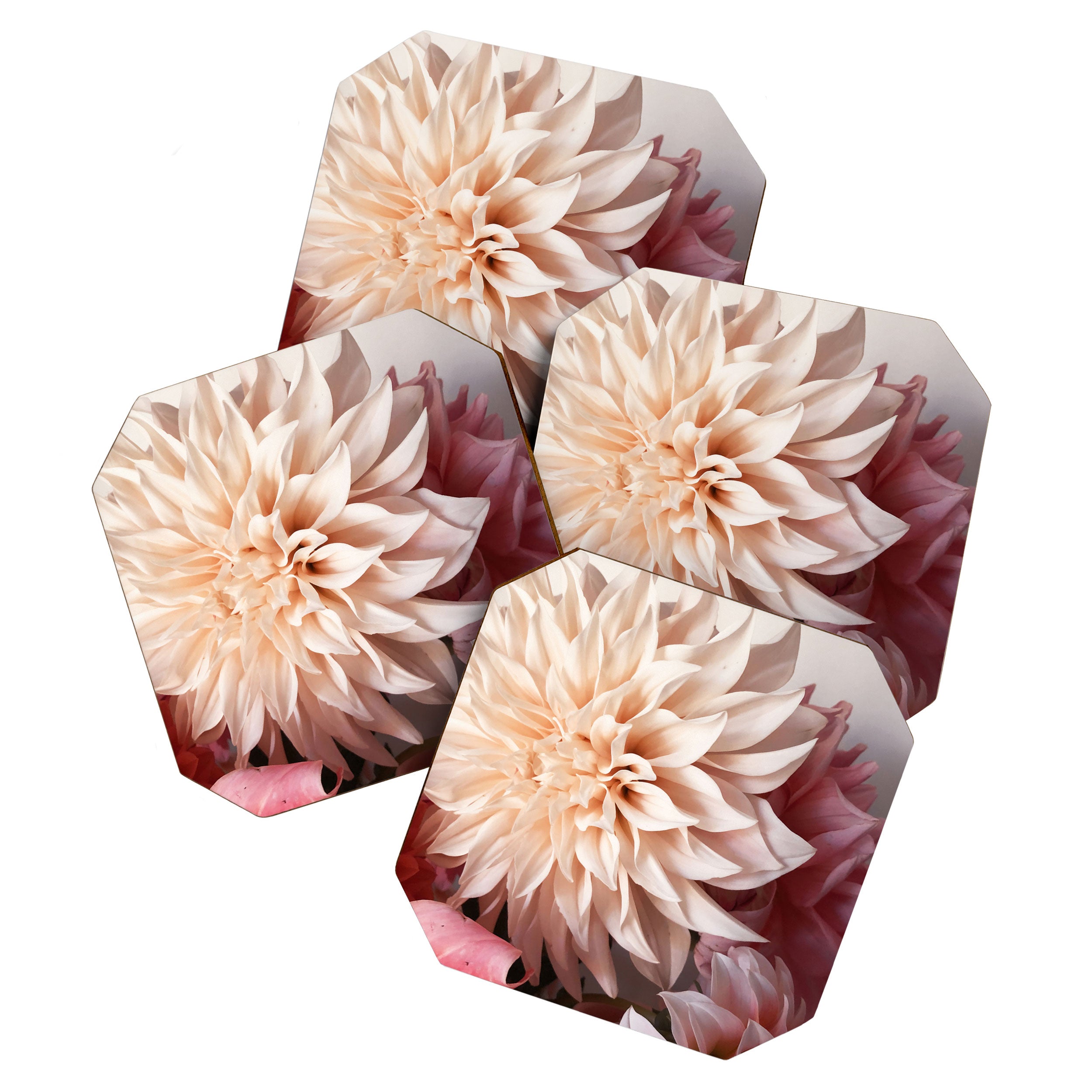 Find Your Tribe #1 - Modern Botanical Photograph Coaster Gallery Image 1