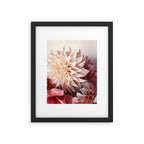 Find Your Tribe #1 - Modern Botanical Photograph Framed Art Print Gallery Image 5