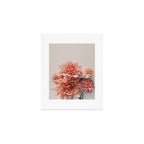 Find Your Tribe #2 - Modern Dahlia Botanical Photograph Art Print Gallery Image 1