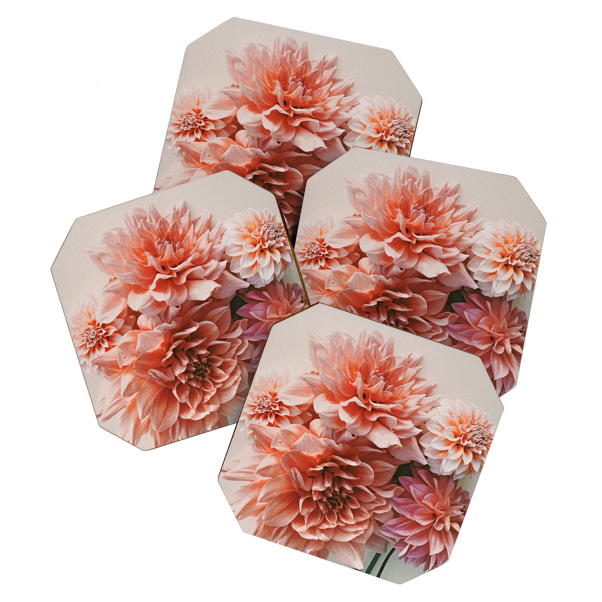 Find Your Tribe #2 - Modern Dahlia Botanical Photograph Coaster Gallery Image 1