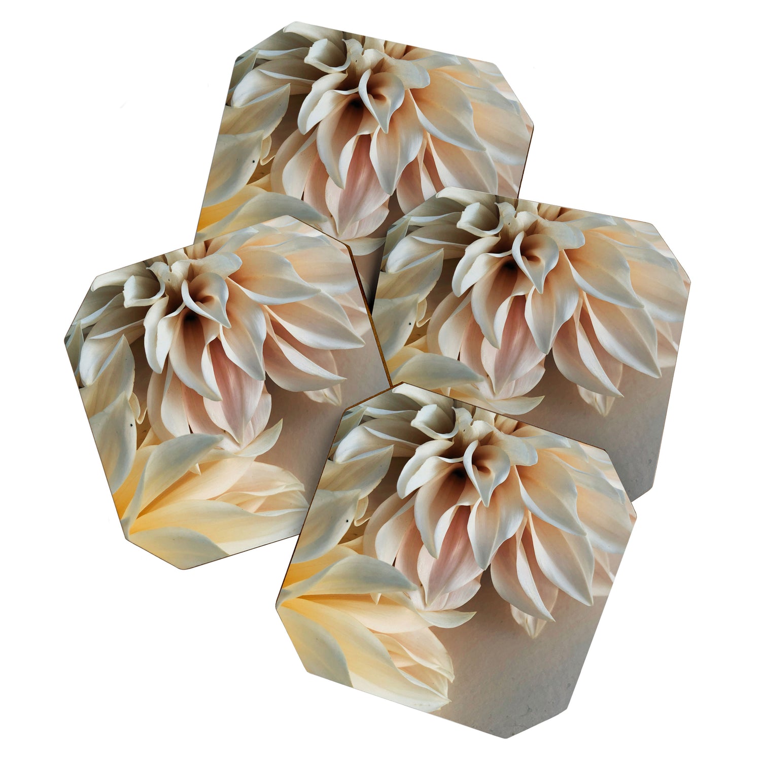 Find Your Tribe #3 - Modern Dahlia Botanical Photograph Coaster Gallery Image 1