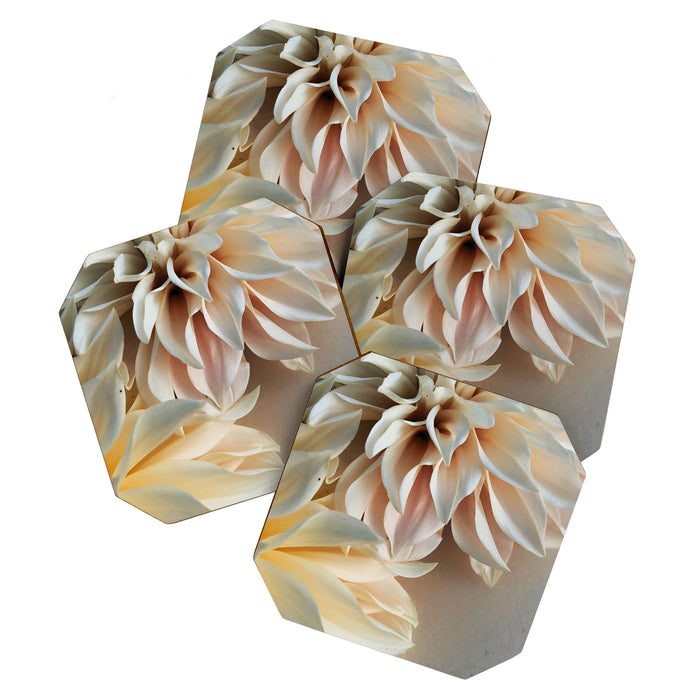 Find Your Tribe #3 - Modern Dahlia Botanical Photograph Coaster Gallery Image 1