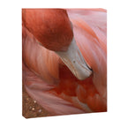 Flamingo Canvas Print Gallery Image 6