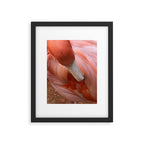 Flamingo Framed Art Print Gallery Image 5