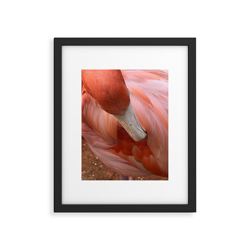 Flamingo Framed Art Print Gallery Image 5