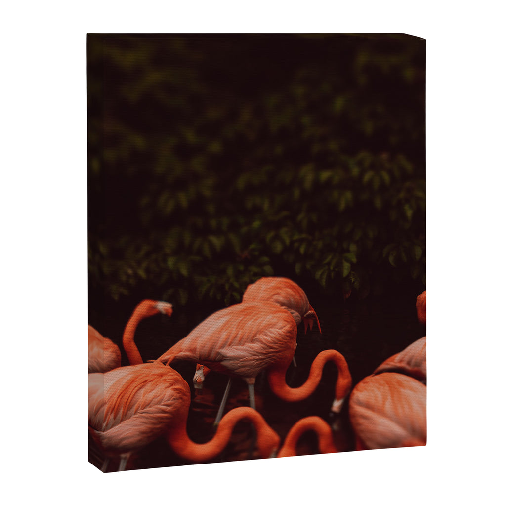 Flamingos Canvas Print Gallery Image 6
