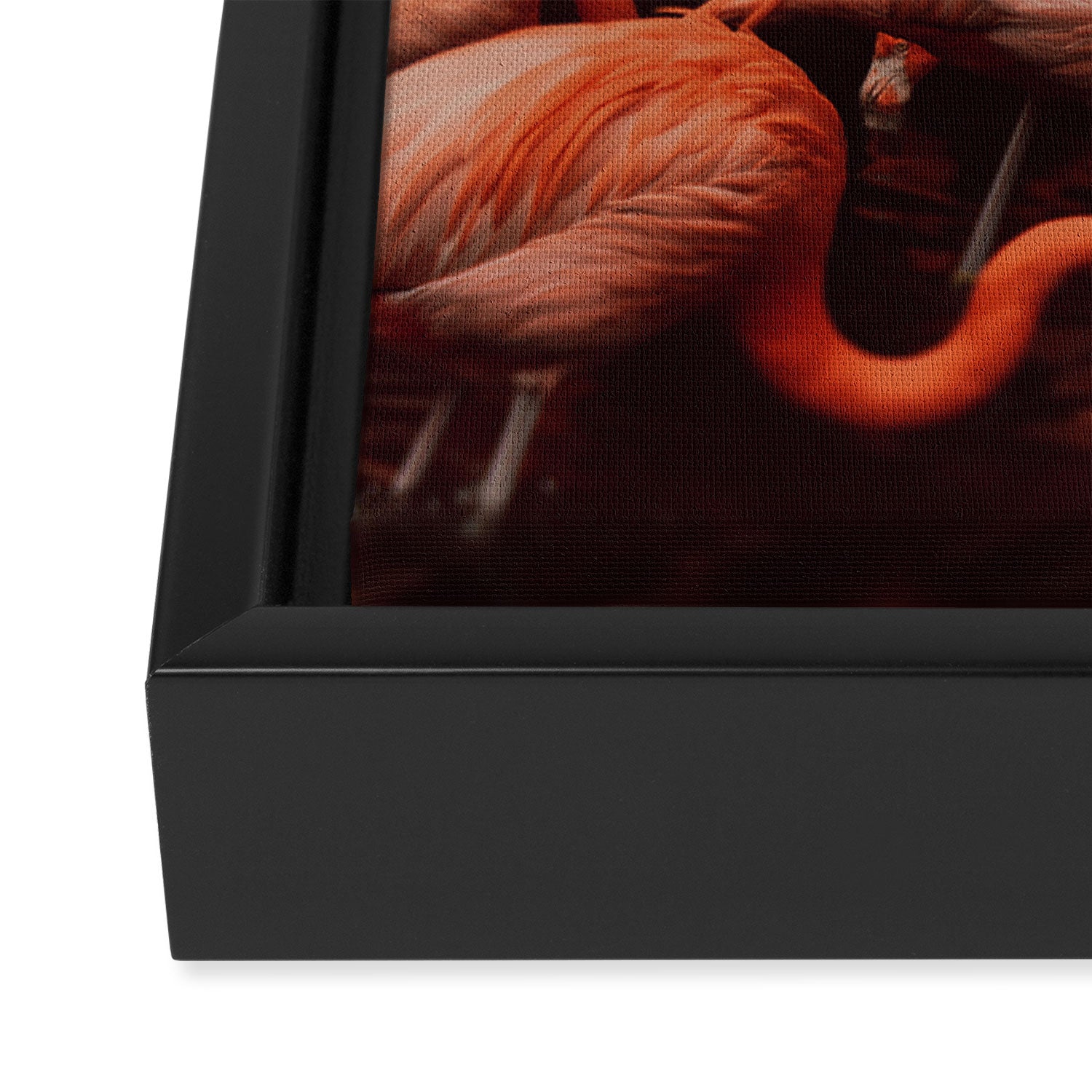 Flamingos Framed Canvas Print Gallery Image 3
