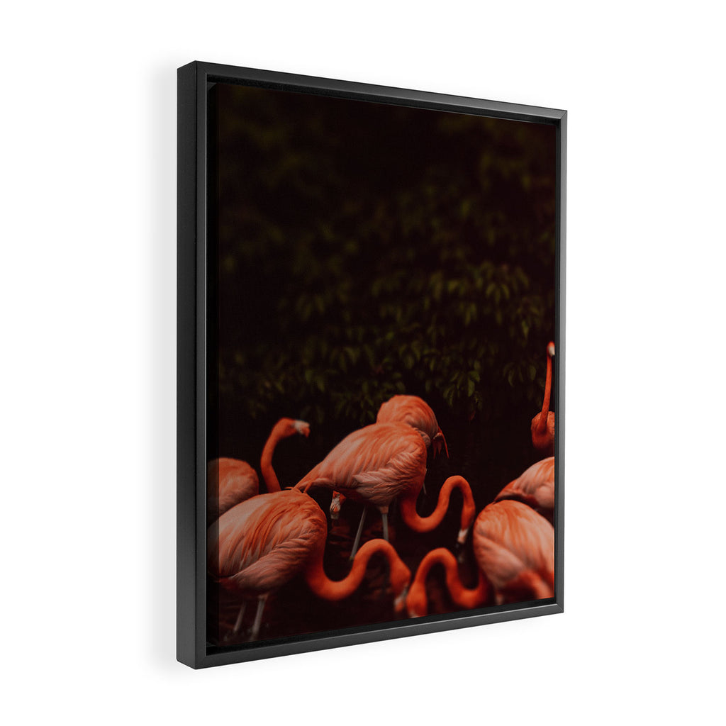 Flamingos Framed Canvas Print Gallery Image 2