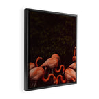 Flamingos Framed Canvas Print Gallery Image 2