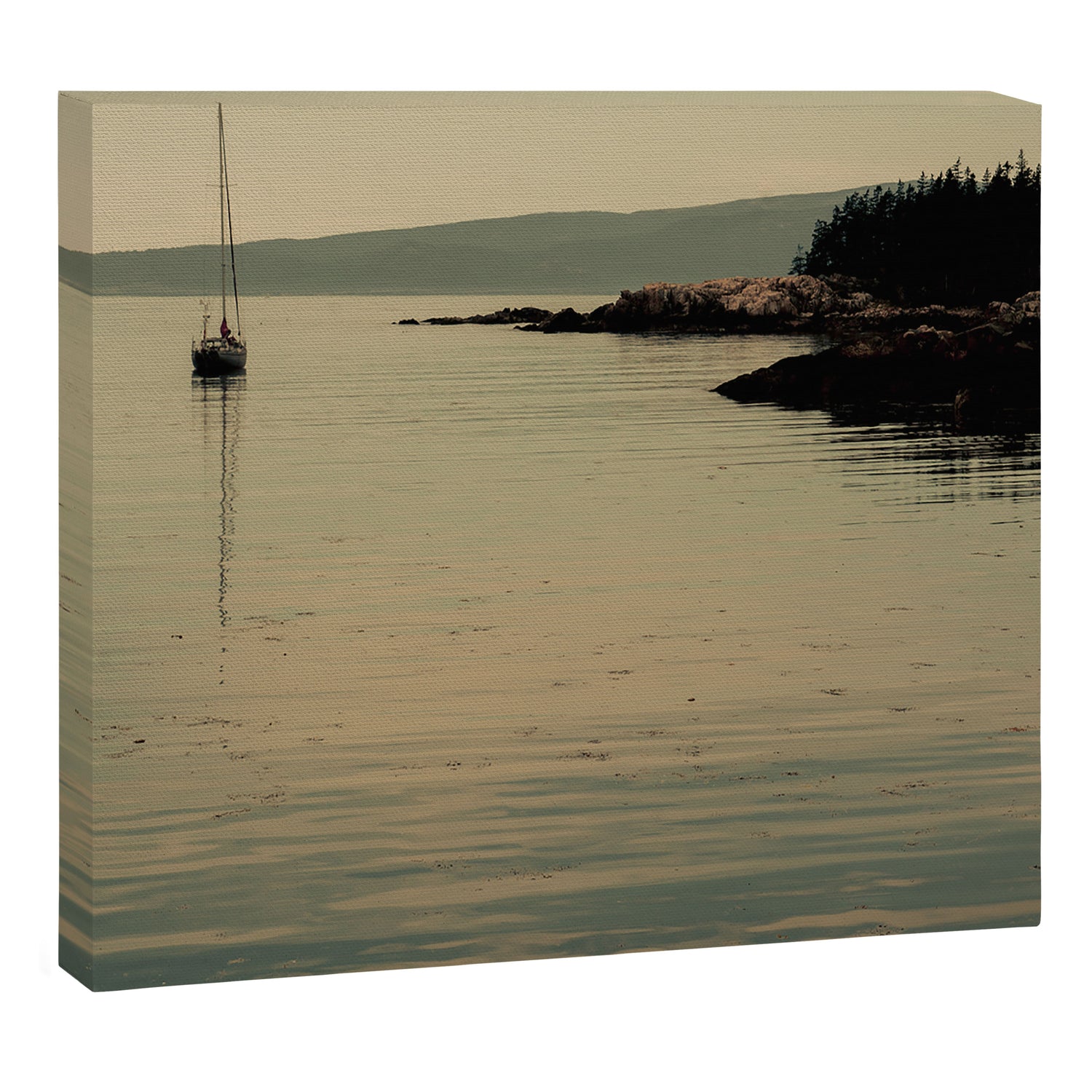 Float Canvas Print Gallery Image 3