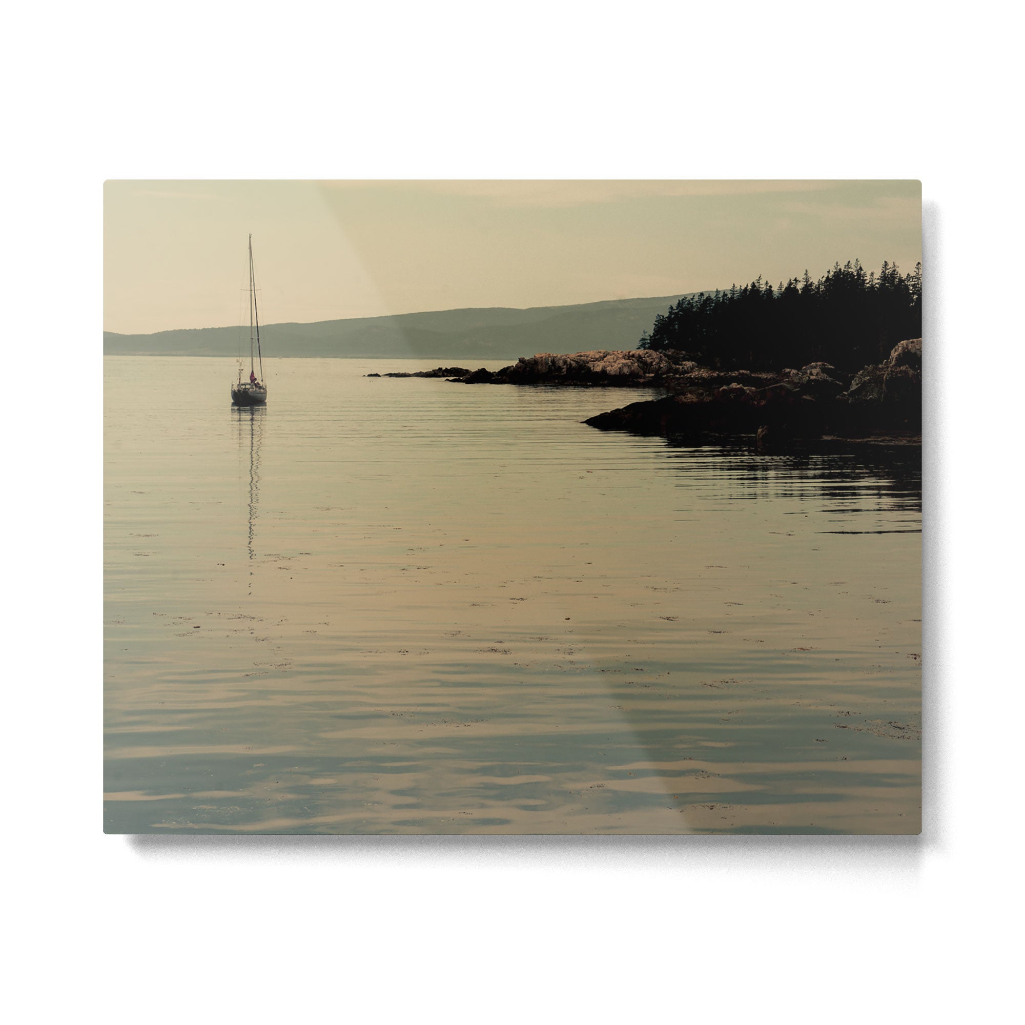 Float Metal Print Gallery Image 4