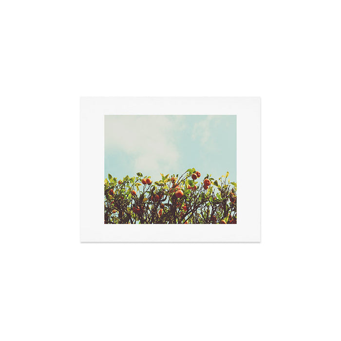 Florida Orange Grove Art Print Gallery Image 1
