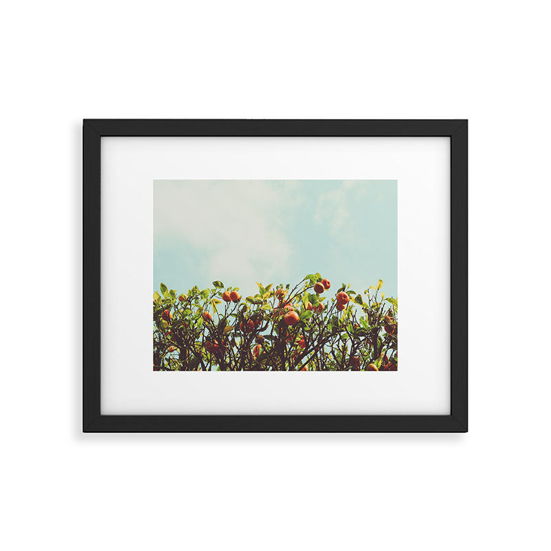 Florida Orange Grove Framed Art Print Gallery Image 5